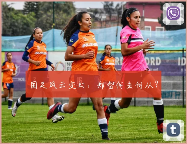 国足风云变幻，郑智何去何从？