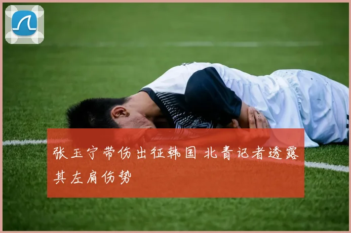 张玉宁带伤出征韩国 北青记者透露其左肩伤势